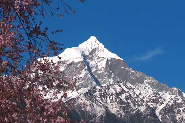 【親子追光計(jì)劃】純玩西藏 魯朗國際小鎮(zhèn)(體驗(yàn)小火車)-雅魯藏布大峽谷……拉薩河游船-西藏博物館 臥飛9日游